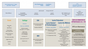 Organigramme 2 300x167 - Organigramme