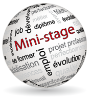 Logo Mini Stage - Modalités Mini-Stage 2023