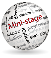 Logo Mini Stage - Modalités Mini-Stage 2025