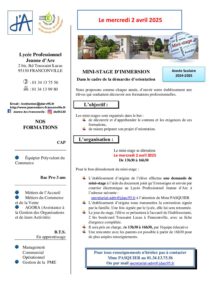 Modalites MINI STAGE 2025 1 pdf 212x300 - Modalités MINI STAGE 2025