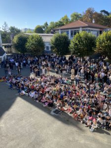 IMG 2222 225x300 - IMG_2222