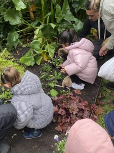 IMG 2409 225x300 - IMG_2409